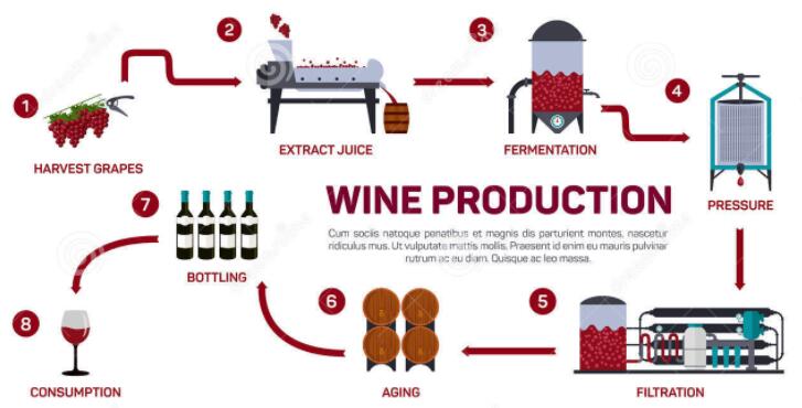 2024年，揭秘红白葡萄酒制造：传统与现代巧妙对比